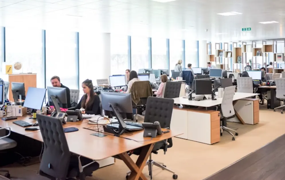 Best office suite software